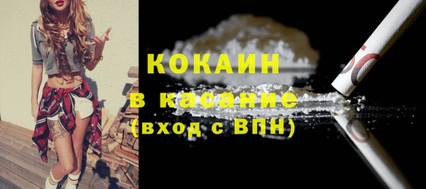 прущие грибы Бронницы