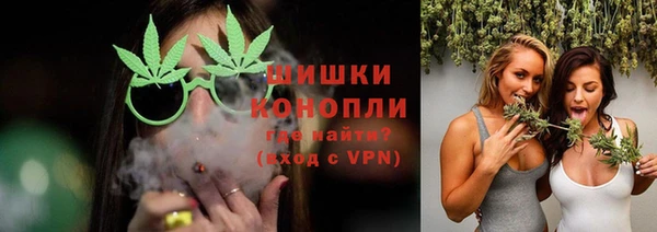 гидра Бородино