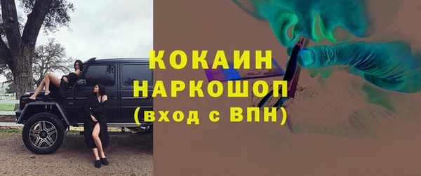 прущие грибы Бронницы