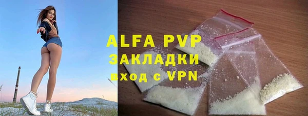 гидра Бородино