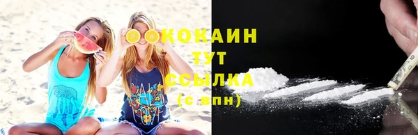 гидра Бородино