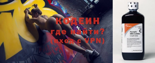 прущие грибы Бронницы