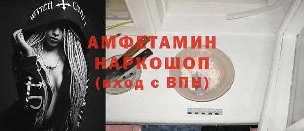 гидра Бородино