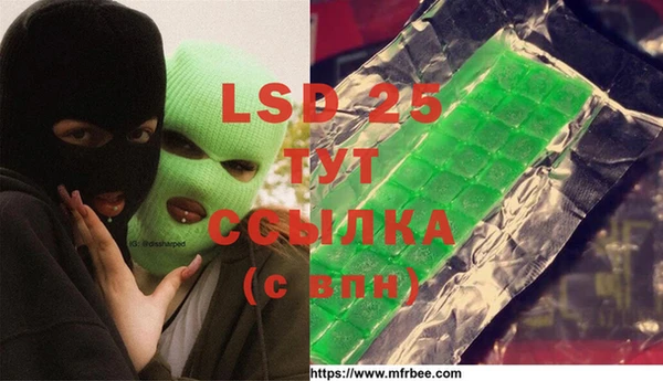 гидра Бородино