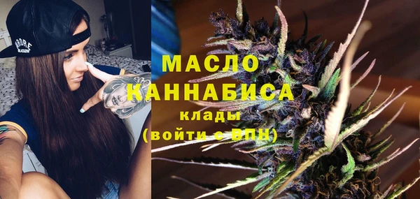 гидра Бородино