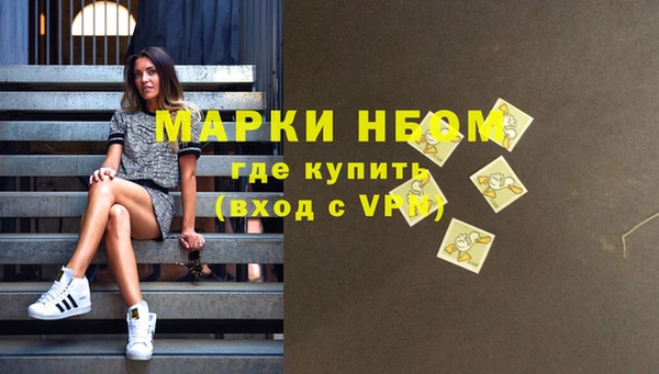 прущие грибы Бронницы