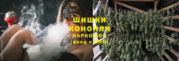 гидра Бородино