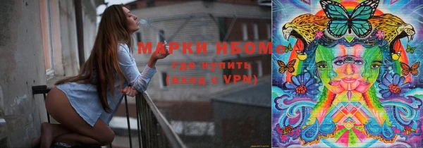 прущие грибы Бронницы