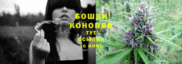 тгк Весьегонск